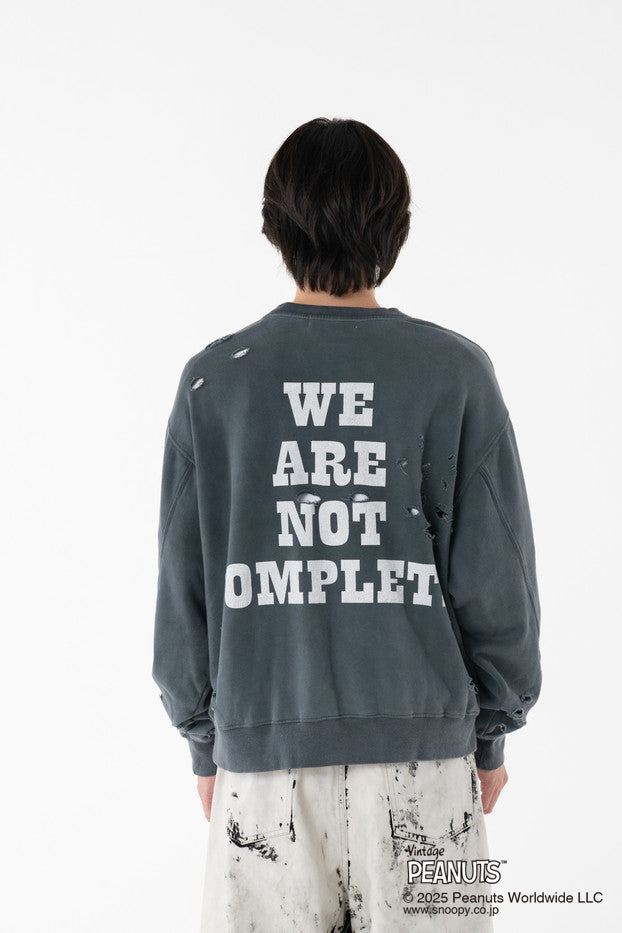 PEANUTS DAMAGE PIGMENT DYED SWEAT – DISCOVERED